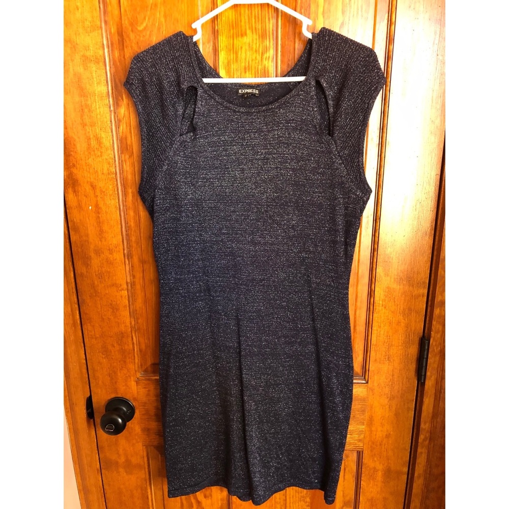 Express Sparkle Dress Size L